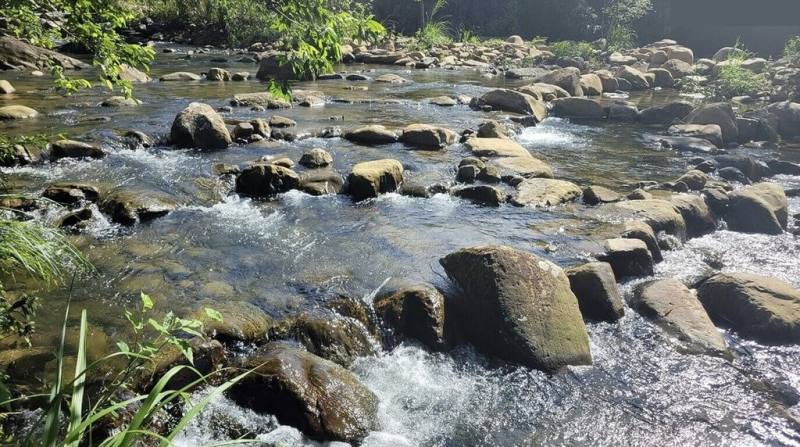 台灣河溪網協會23日舉辦第1屆「台灣河川希望工程獎」頒獎，農業部農田水利署以「田寮洋一二三圳取水設施更新改善工程」獲「年度河川復育特別獎」。農水署說明，該工程遠望坑溪（圖）的生物多樣性在台灣溪流中名列前茅，透過工程達成灌溉設施與生態共融。（農田水利署提供）