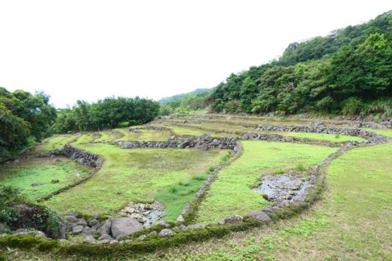 安康社區水梯田