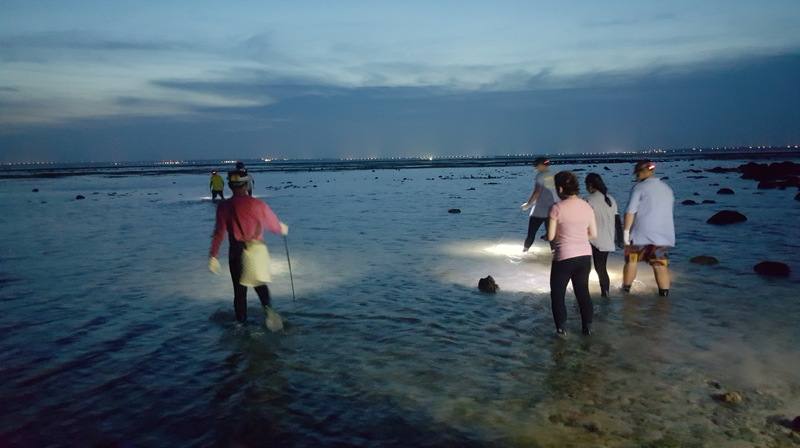 澎湖特有種章魚，在每年元宵節過後至農曆3月23日媽祖生日是章魚的產季，在澎湖的赤崁、岐頭、講美、中屯、沙港、紅羅與青螺的北面的潮間帶海域等捕捉，可見漁民照海捕捉