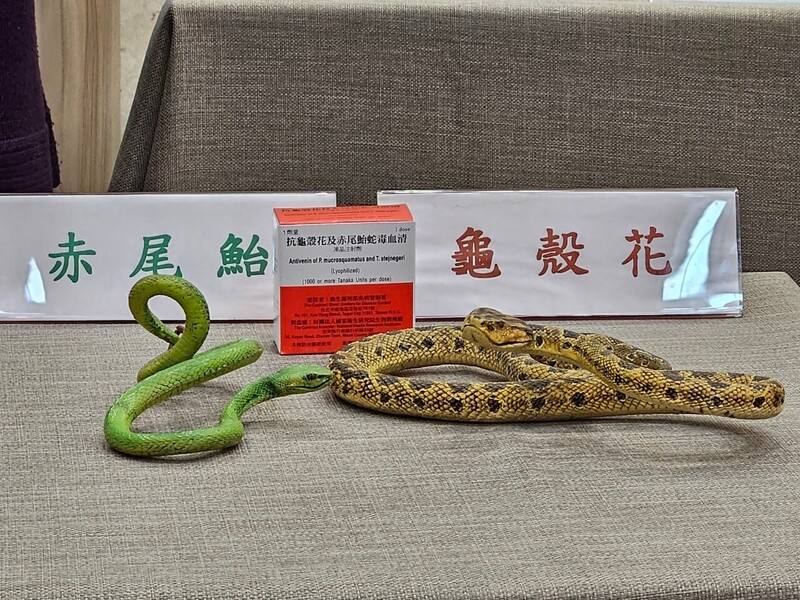 每年4到8月都是蛇咬高峰季節，疾管署27日提醒，民眾遭蛇吻可先查詢抗蛇毒血清儲備點，遵守「5要5不」原則盡快就醫。圖為毒蛇模型與血清包裝。