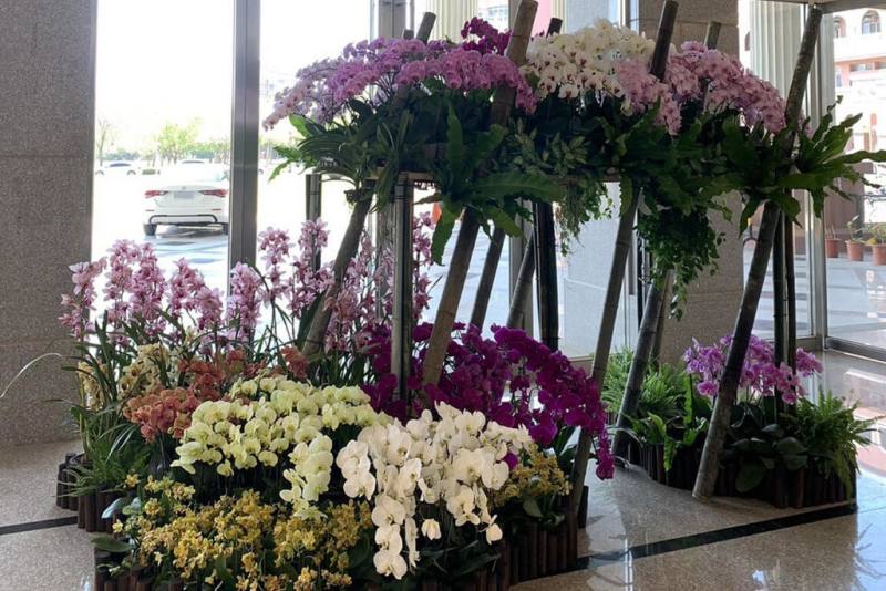 2025台灣國際蘭展日前閉幕，台南市政府挑選花況優良的卸展蘭花，在曾文市政願景園區以「節節高昇」為主題布置蘭藝空間，利用綠竹形成主體架構，展現蝴蝶蘭及綠植活潑生命力。（台南市政府提供）