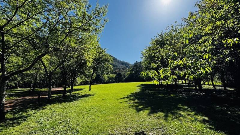 兒童節與清明節連假將至，為鼓勵家長陪伴孩子戶外休閒，南投縣仁愛鄉奧萬大國家森林遊樂區4月3日至4月6日優待12歲以下兒童免費入園，家長半票。圖為奧萬大草原。（林業及自然保育署南投分署提供）