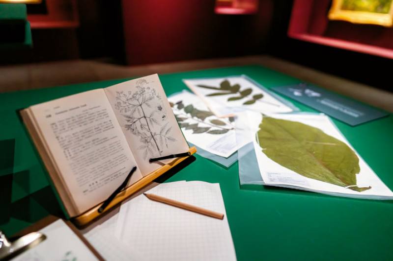 策展人把畫作當作博物學家研究時的「樣區」，建立起藝術與自然的連結，從中理解畫家所要描繪的瞬間，探究背後更大尺度的自然力量，從而形塑出島嶼上多元的生命樣態。（林旻萱攝）