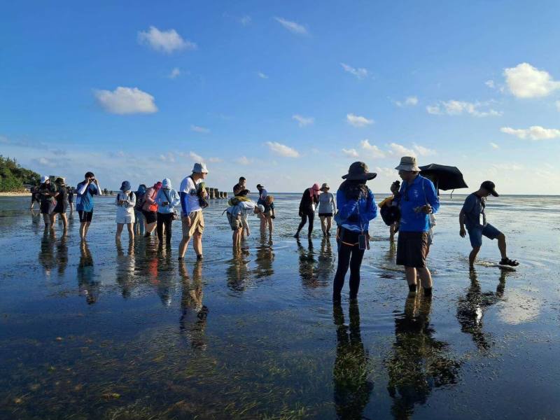 東沙環礁潮間帶生態導覽(113年度活動照片)
