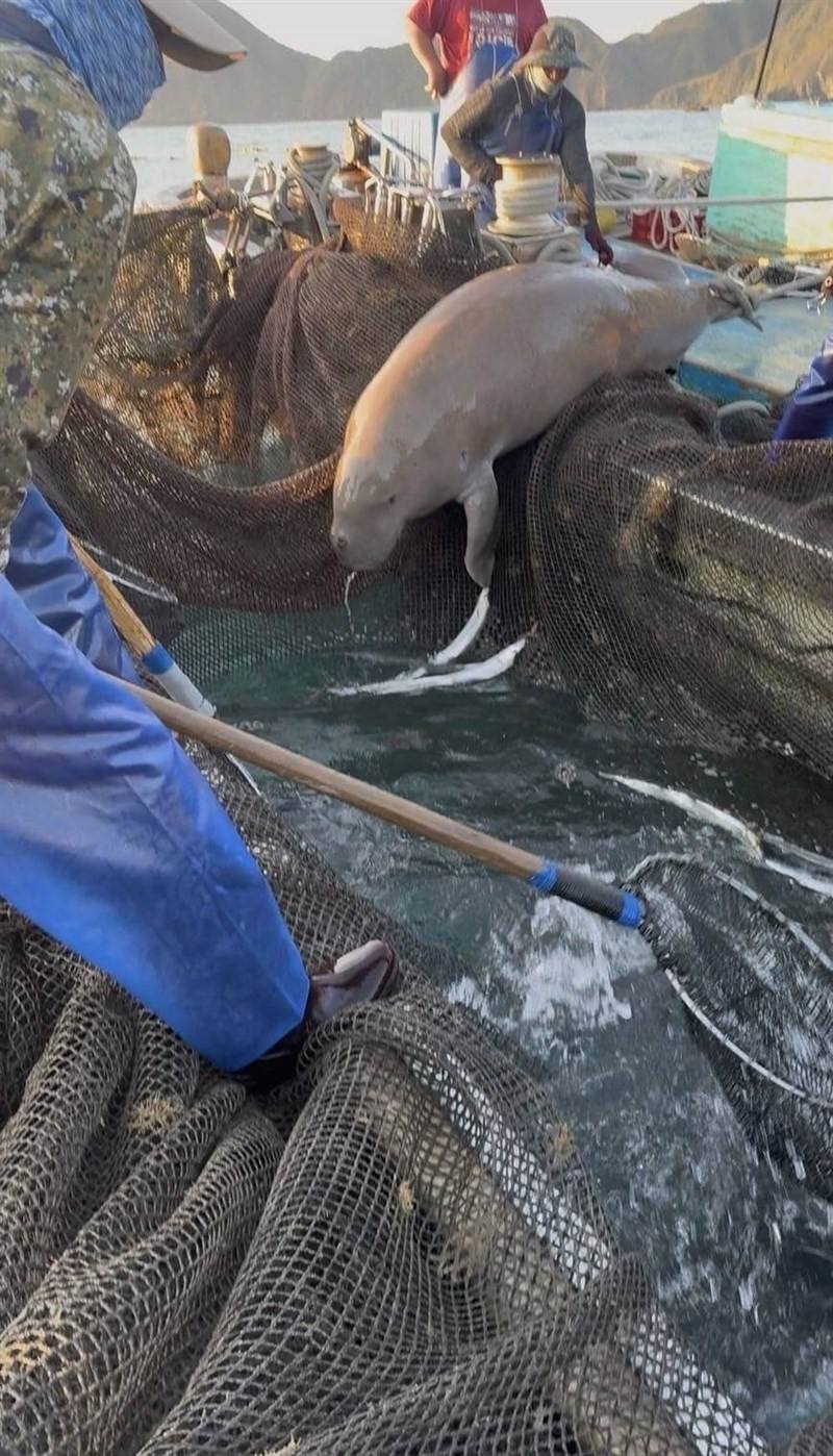 Photo courtesy of a fisherman