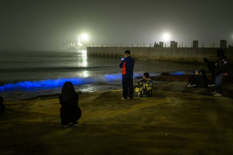根據金門縣觀光旅遊網資料，春夏交接時，若把握好風向、氣溫、月光、潮汐等資訊，在金門全境岸邊都有機會觀賞藍眼淚；近日在金門新湖漁港（圖）等地就陸續有民眾發現藍眼淚夢幻景色。（金門小吳提供）
