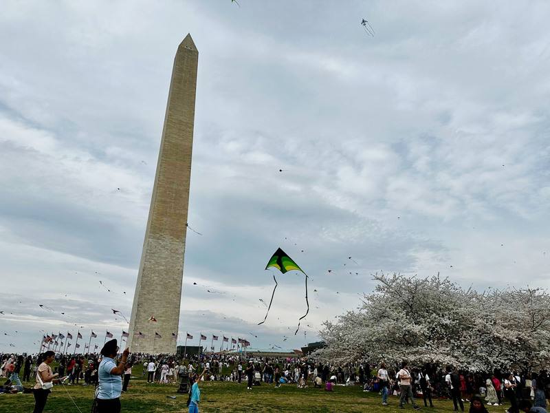 美國華盛頓櫻花季登場，活動結合放風箏，29日吸引大批人潮到華盛頓紀念碑附近賞櫻、放風箏。