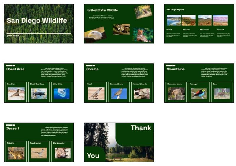 Wildlife introduction by FASCA San Diego member.