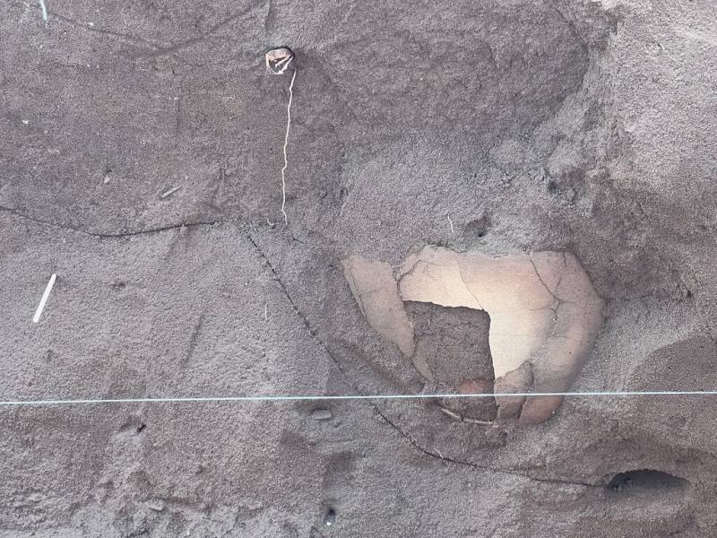 花蓮新城鄉戶政事務所及警消合署辦公大樓動工拆除過程中發現史前陶片遺物，停工試掘再出土2具甕棺（圖）等。專家指出，甕棺是花岡山文化的特殊文化形式。（民眾提供）