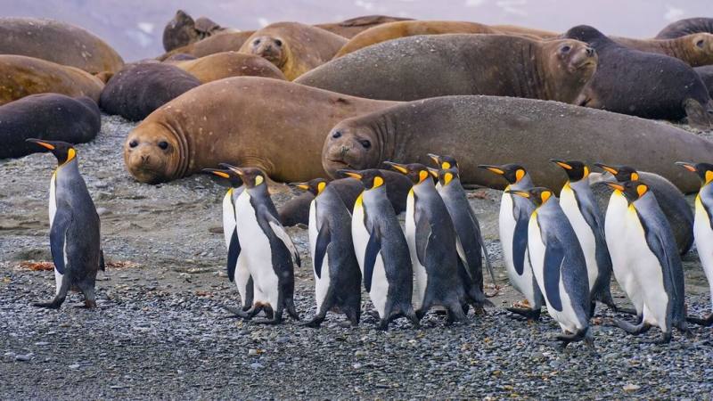 生態電影「守護我們的星球」耗資新台幣4000萬元拍攝，並以台灣觀點和為地球生態發聲為初衷，5月將正式上映。（東森電視提供）