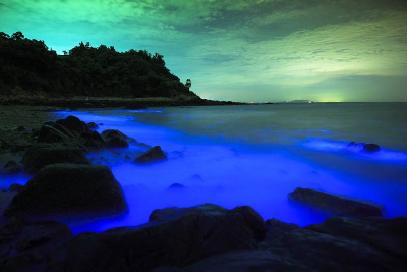 藍眼淚季節到來，為配合民眾夜間「追淚」，連江縣南竿鄉公所4日起至7月底將於全鄉6個路段實施夜間關閉路燈措施。圖為藍眼淚攝影比賽得獎作品。（連江縣政府交通旅遊局提供）