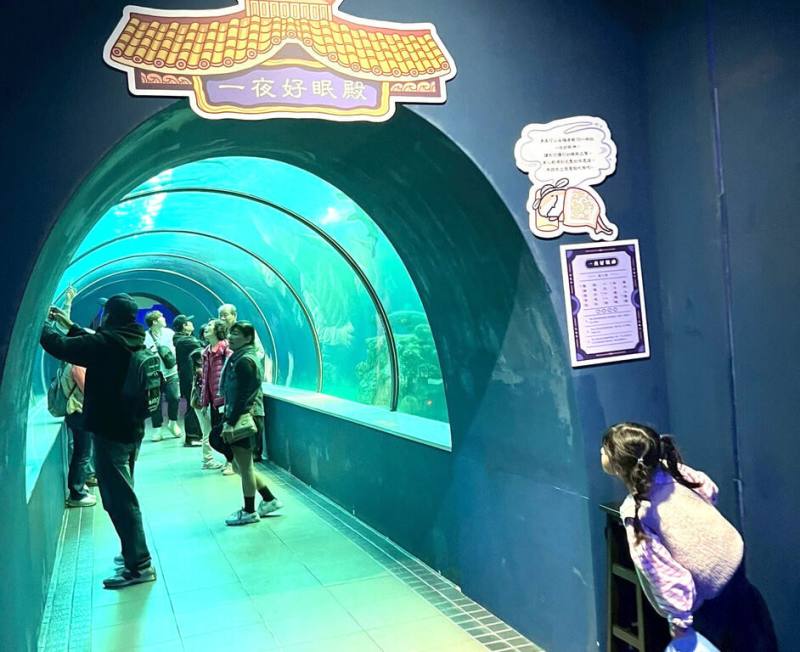 澎湖水族館配合清明連假推出「海龍宮」闖關活動，結合廟宇解籤元素與海洋知識，寓教於樂，4日湧入逾1000人前往朝聖祈福，尋找屬於自己的守護海神。（澎湖水族館提供）