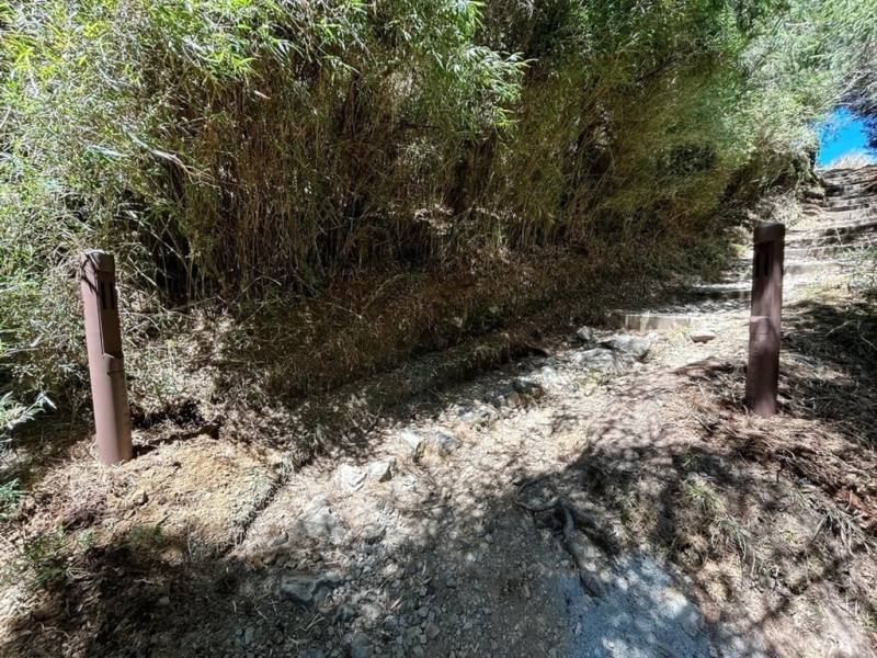 玉山國家公園管理處與山盟公益協會合作，由山盟捐贈3組「雙向人員流量計數器」，分別設定在塔塔加鞍部（圖）、麟趾山登山口、鹿林山登山口，透過紅外線感應人流進出並記數人次，作為管理策略參考。（玉山國家公園管理處提供）