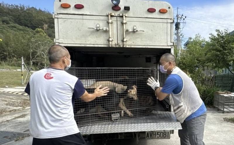 苗栗縣動物保護防疫所部分收容犬經適當訓練後，可成為各行業工作犬，所方近期就成功媒合果園農民領養犬隻作為果園工作犬。（苗栗縣動物保護防疫所提供）