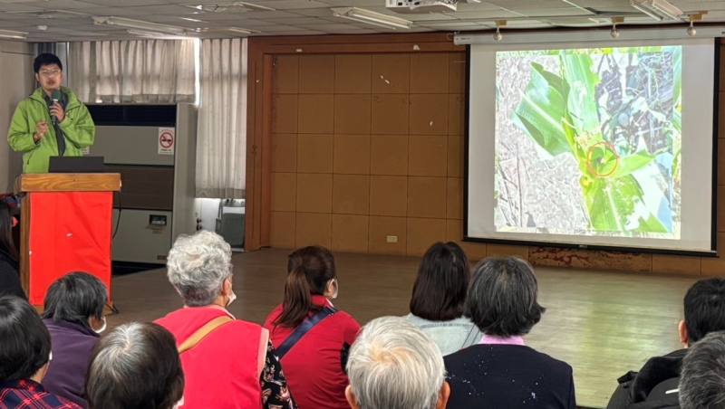 臺東農改場駐點儲備植物醫師宣導「作物重大蟲害防治技術」