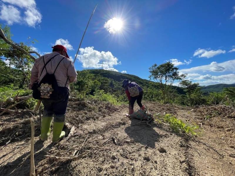 屏東縣政府瞄準綠色經濟趨勢，規畫啟動規模達百公頃人工林碳匯專案，以良好森林經營管理為核心，不僅提升碳吸存能力、減少碳洩漏風險，並打造區域綠色廊帶、強化生物多樣性保育，幫助企業取得森林碳權，達成碳中和及ESG目標。（屏東縣政府提供)