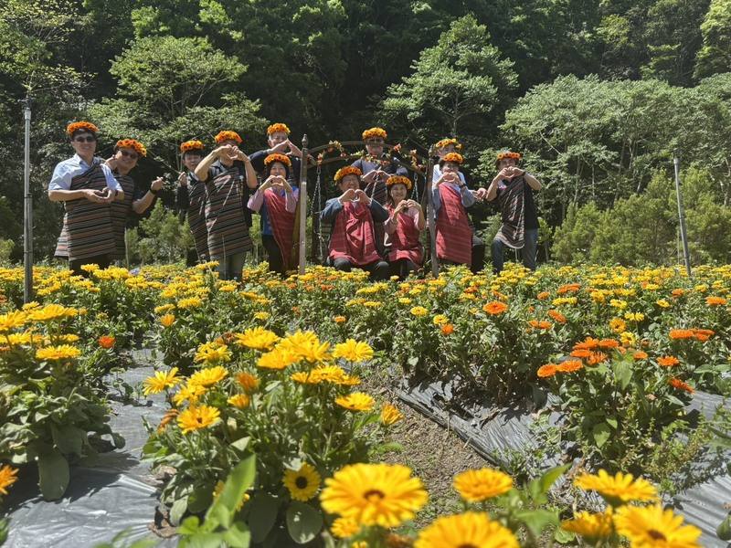 新竹縣政府與新竹縣農會16日在尖石鄉那羅灣休閒農業區舉辦「新竹食農好好玩」記者會，那羅灣休閒農業區正值金盞花盛開期，金橘色的金盞花如花毯般，十分美麗。