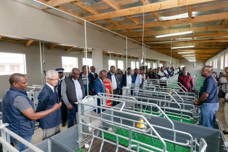 國合會18日指出，位於史瓦帝尼中部的Mpisi核心種豬場於11日正式啟用並辦理啟用儀式。（國合會提供）