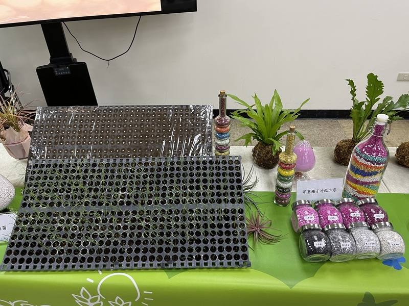 目前洋蔥育苗、栽種高度依賴勞力，農業部種苗改良繁殖場表示，2024年技轉恆春鎮農會機械化種子造粒建立穴盤苗，無需再靠人工育苗、分株，搭配秧苗移植機，全程皆採機械化作業。