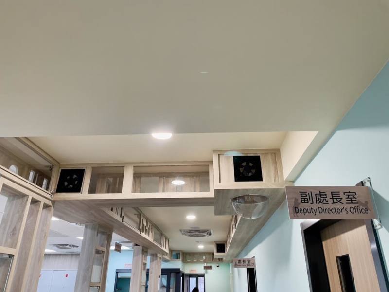 新北市政府動保處重新裝潢辦公室空間，將「貓道」融入天花板，打造立體貓咪遊樂場，有如喵星人基地。（動保處提供）