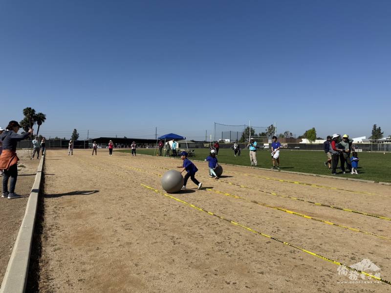 滾球比賽大競技