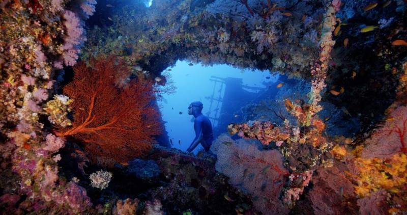 台灣紀錄片「沈睡的水下巨人」將於25日上映，自由潛水者Pepe Arcos阿科斯（Pepe Arcos）想讓觀眾看到的不只是美麗的畫面，而是彷彿自己真的跟著鏡頭一起潛入海底。（牽猴子提供）