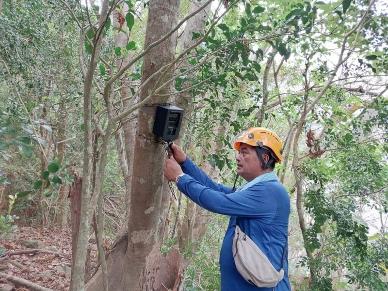 日前有民眾在浸水營古道目擊年幼黑熊奔跑，同時聽到母熊吼叫聲，因情況突然來不及拍照。林業及自然保育署台東分署表示，已前往裝設紅外線自動照相機，盼捕抓到黑熊身影。（林保署台東分署提供）