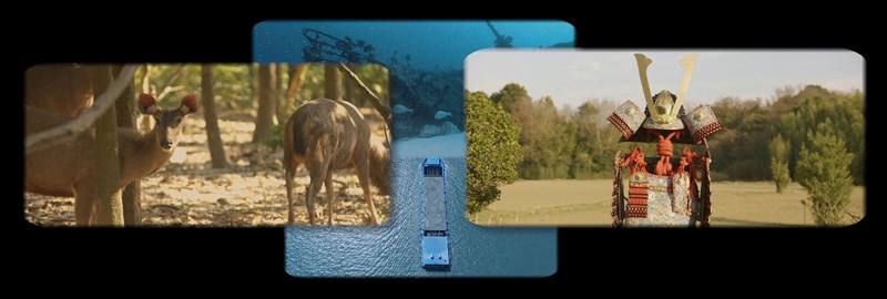 "Samurai and Deer" by Hsu Chia-wei. Image courtesy of Hong-gah Museum April 22, 2025