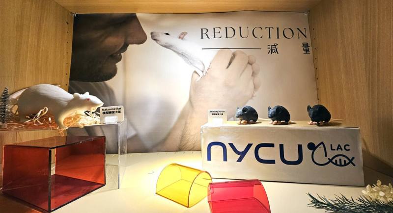 陽明交大啟用「3R智慧教室」，搭配大小鼠仿生教具，讓學生先熟練手感細節和技巧再進行活體操作，減少在教學訓練期間犧牲的實驗動物。（陽明交大提供）