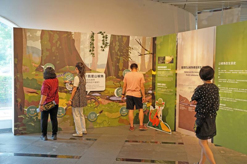 國立公共資訊圖書館舉辦「走進雲霧森林—探索山椒魚特展」，展出最新研究成果等，呈現山椒魚的生態特性、適應機制及保育挑戰。（國立公共資訊圖書館提供）