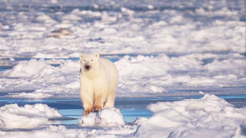 Photo courtesy of EBC