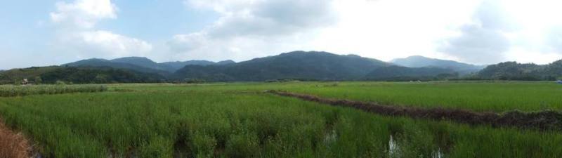 兼具森林及農地的田寮洋環境，棲息於此的鳥類相當豐富