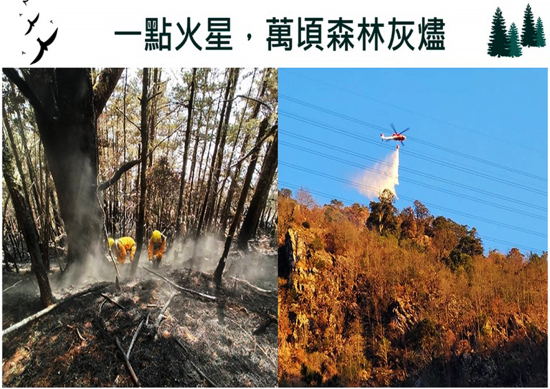 一點火星，萬頃森林灰燼