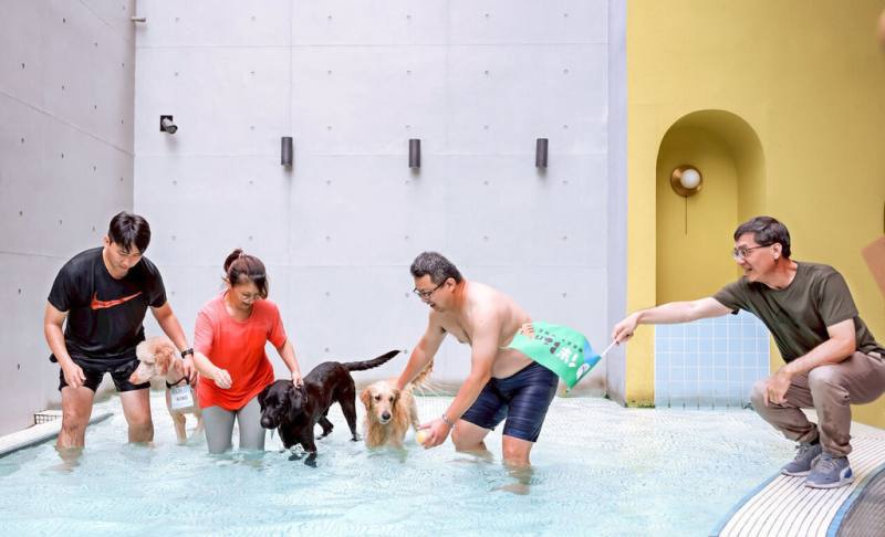 高雄市動保處26日舉辦「2025年大型犬的游泳盃」活動，由12組大型犬參賽，透過有趣的互動遊戲競賽增進飼主與寵物間的關係。（高雄市農業局提供）