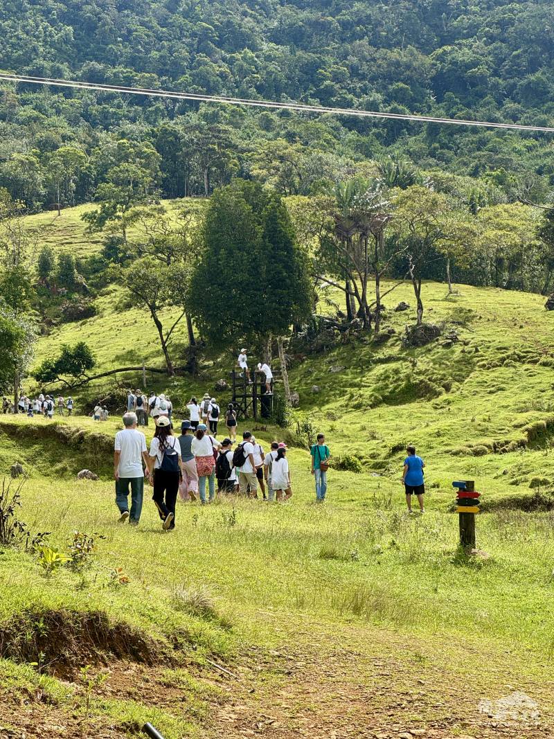 在綠意盎然的自然中，參加者們用腳步連結彼此，以行動支持臺灣參與世界衛生大會(WHA)