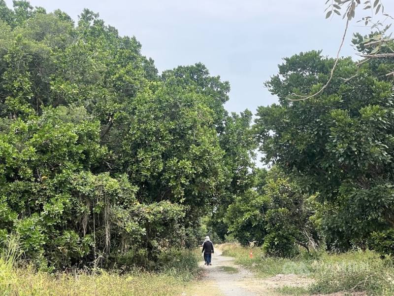 屏東縣政府與台糖公司攜手合作，在種苗園區打造萬丹森林公園，第一期工程面積6.5公頃，預計民國115年春節前完工