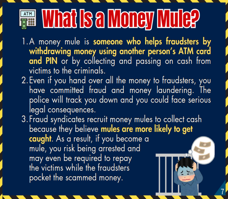 What Is a Money Mule？