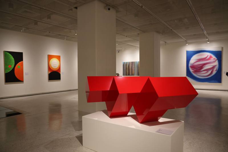 The exhibits on display encompass a diverse range of the artist’s artworks