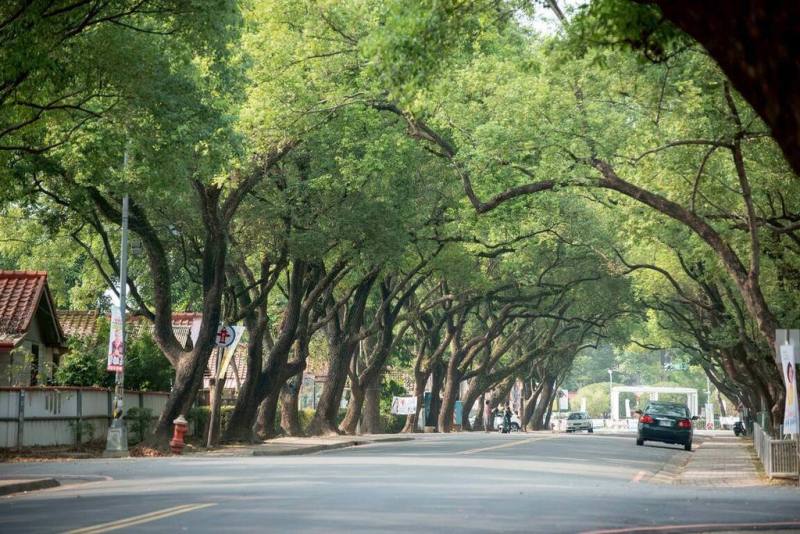 中興新村是台灣實施的第一個都市計畫，具有「花園城市」概念。（國家發展委員會提供）