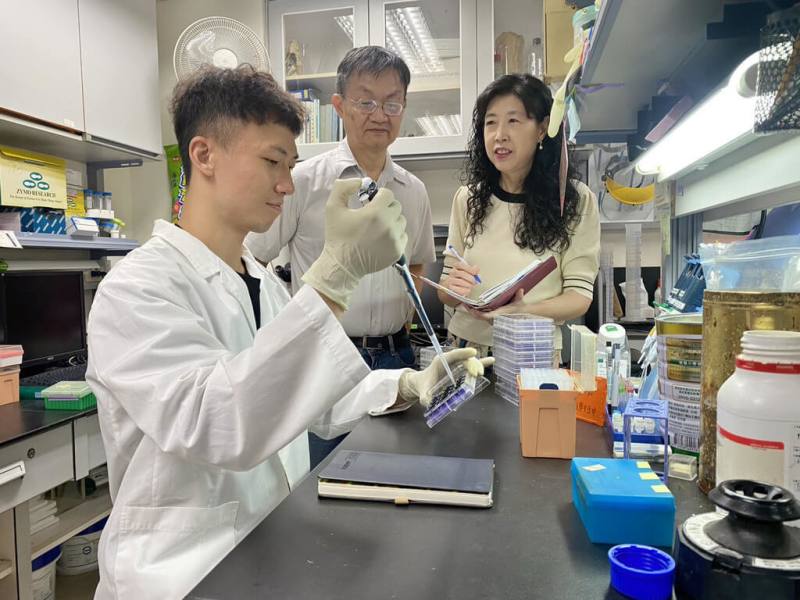 國立成功大學團隊成功解析人體免疫反應重要角色T細胞去泛素酶USP24，且開發出小分子USP24抑制劑，可殺死癌細胞。（成功大學提供）