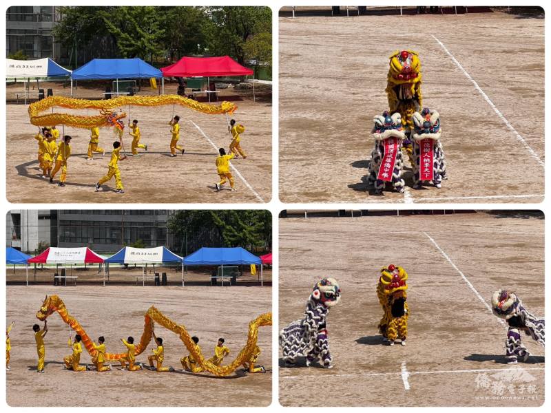 漢中學生精彩的舞龍舞獅表演