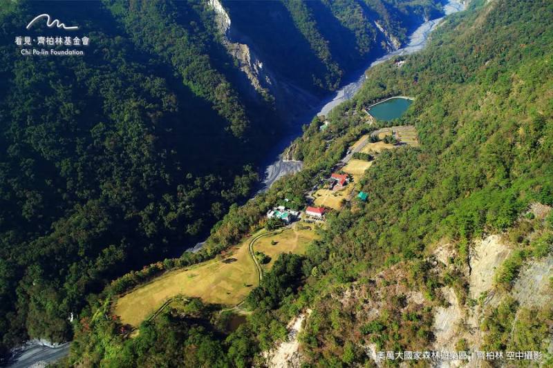 春櫻秋風四季皆宜🍁奧萬大國家森林