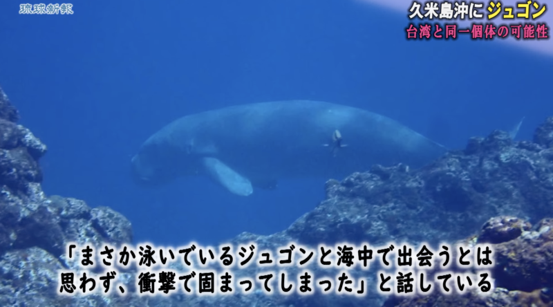 圖片來源：琉球新報