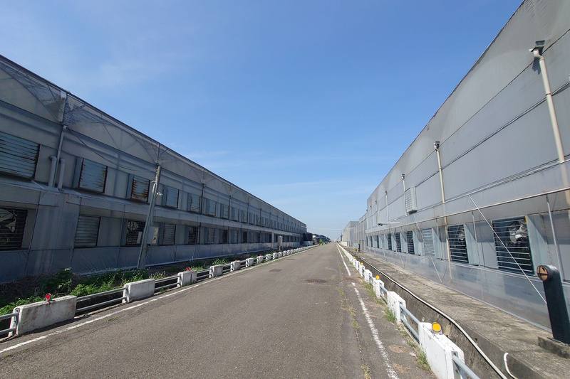 台灣國際蘭展每年3月在台南市後壁區登場，舉辦地點蘭花園區從早年甘蔗園變為蓋滿溫室的蘭花種苗生產基地，呈現產業群聚效果。