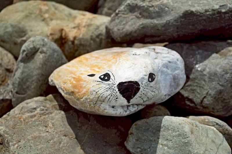 台東市海濱公園以石頭取代消波塊穩定岸邊，台東市公所和第八河川局合作，9日邀請畫家彩繪40顆石頭讓民眾「尋寶」，增添樂趣。台東縣長饒慶鈴提醒民眾，千萬不要把石頭搬回家。（饒慶鈴提供）