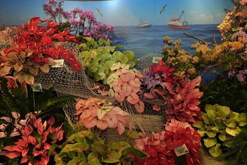 2025屏東的花卉生活美學展正在屏東農業物產館展出中，有「漁港市場」、「傳統中藥行」、「香水工坊」和「未來花店」等4大日常主題，以超越現實想像與挑戰記憶認知的方式將花卉置入空間場景