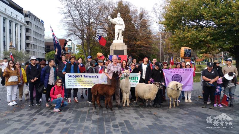 紐西蘭代表動物綿羊與羊駝加入遊行行列