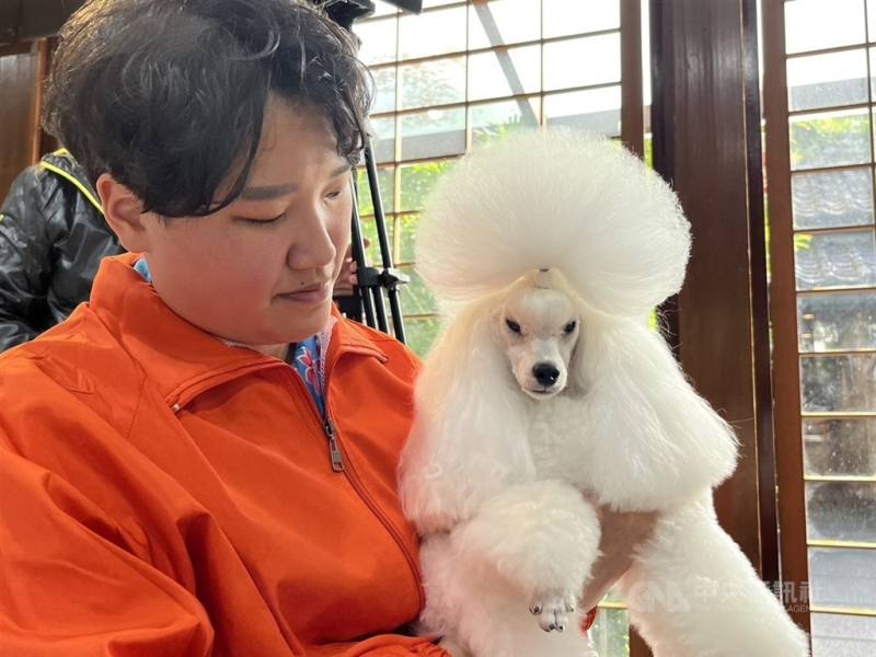 行政院消費者保護處12日發布新聞稿表示，通過「犬、貓美容服務定型化契約」規範，後續將由農業部辦理宣導及查核，督促企業經營者遵守規範。（中央社檔案照片）