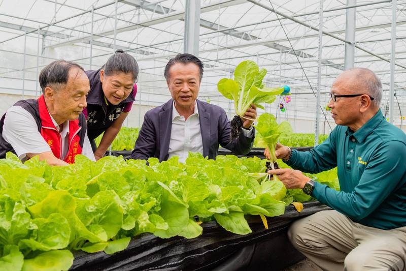 張榮發慈善基金會捐助若竹兒基金會打造「愛菜園」，12日揭牌，嘉義縣長翁章梁（右2）、張榮發慈善基金會董事長吳景明（右）及若竹兒基金會董事長林朋輝（左）體驗採收有機蔬菜。
