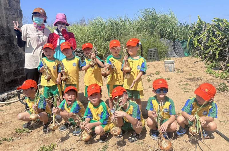 澎湖湖西鄉立幼兒園的小朋友，14日變成小農民下田採收高麗菜與洋蔥，實地體驗菜農耕作的辛苦，感受田園的樂趣，每位小朋友收獲滿滿地合影留念。（澎湖湖西鄉公所提供）